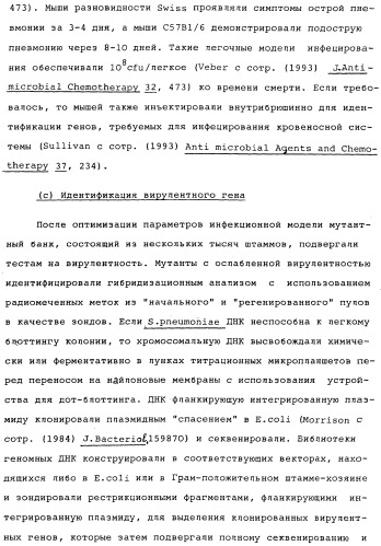 Vgc2 днк salmonella typhimurium, мутантная бактерия, обладающая пониженной способностью к адаптации к условиям окружающей среды, и способ ее получения (патент 2370541)