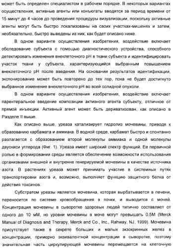 Использование уреазы для ингибирования роста раковых клеток (патент 2326691)