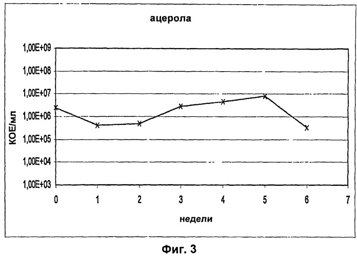 Пробиотический сокосодержащий напиток (патент 2525927)