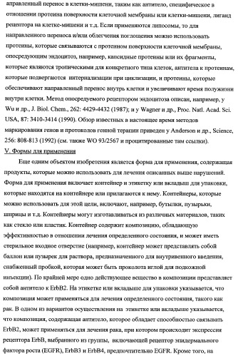 Способ лечения рака у человека (варианты), применяемая в способе форма (варианты) и применение антитела (варианты) (патент 2430739)