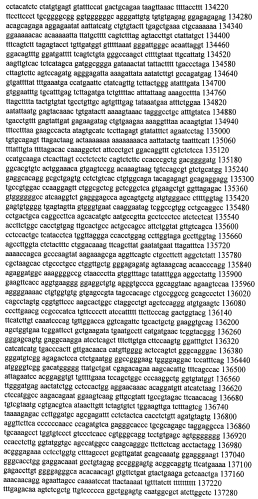 Модуляция экспрессии гентингтина (патент 2562861)