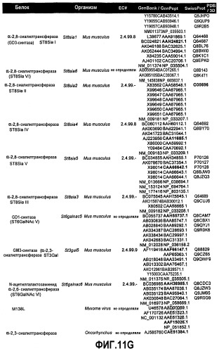 Гликопэгилированный гранулоцитарный колониестимулирующий фактор (патент 2400490)