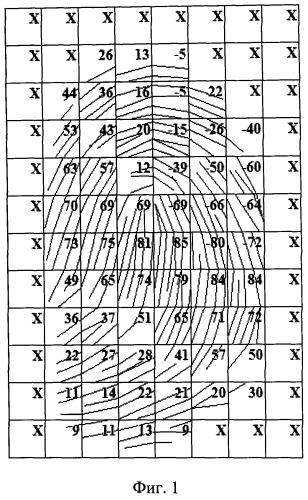 Способ классификации рисунков отпечатка пальца при аутентификации личности (патент 2473125)