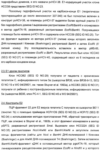 Очищенные оболочечные белки вируса гепатита с для диагностического и терапевтического применения (патент 2319505)