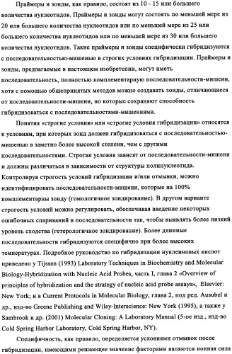 Вариант кукурузы mir604 (патент 2351122)