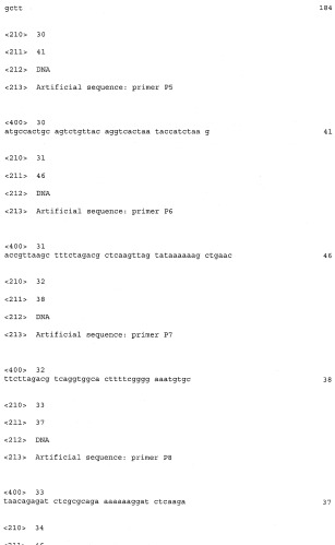 Бактерия - продуцент продукта реакции, катализируемой белком, обладающим активностью 2-оксоглутарат-зависимого фермента, и способ продукции указанного продукта (патент 2444568)