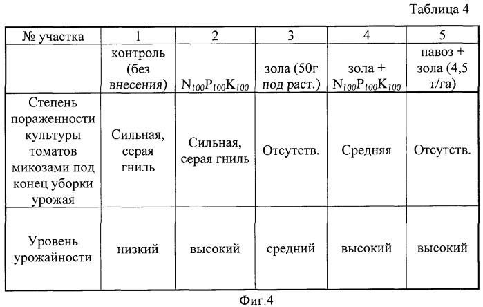 Способ использования отходов маслоэкстракционного производства как удобрения для выращивания томатов на черноземе (патент 2498968)