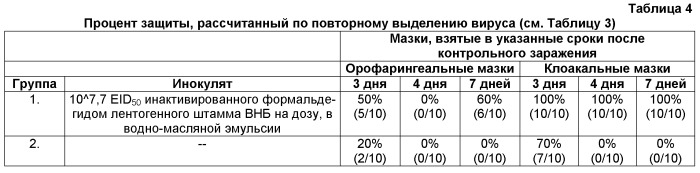 Инактивированная вакцина для птицы (патент 2545530)