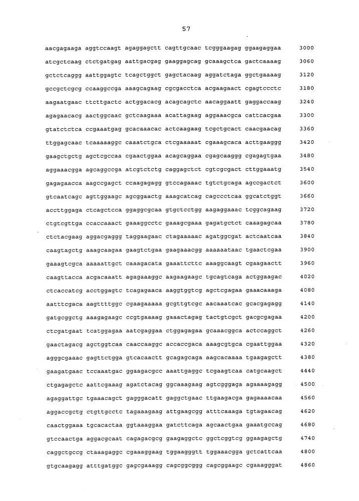 Подавление экспрессии генов у насекомых-вредителей (патент 2653752)