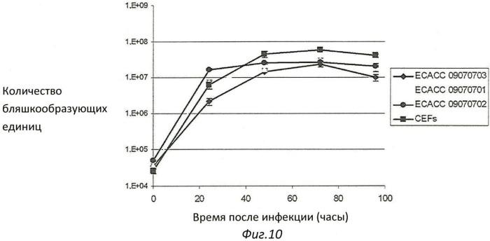 Иммортализованная клеточная линия птиц (патент 2475536)