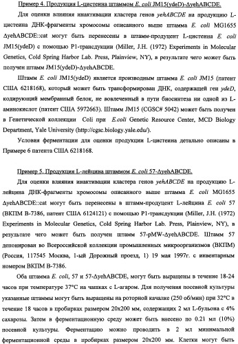 Способ получения l-треонина и l-аргинина с использованием бактерии, принадлежащей к роду escherichia, в которой инактивирован кластер генов yehabcde (патент 2337960)