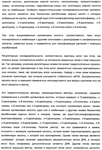 Способ получения полиненасыщенных кислот жирного ряда в трансгенных организмах (патент 2447147)