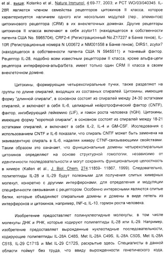 Применение il-28 и il-29 для лечения карциномы и аутоиммунных нарушений (патент 2389502)