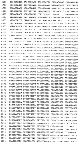 Связывающие молекулы, обладающие терапевтической активностью (патент 2386639)