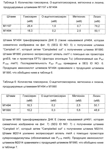 Применение диметилдисульфида для продукции метионина микроорганизмами (патент 2413001)