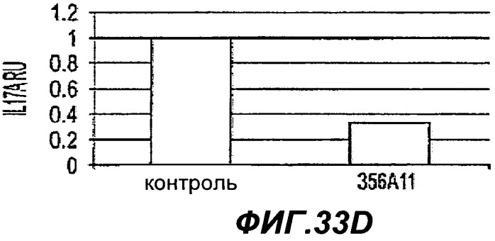 Способы применения антител к il-22 человека (патент 2445976)