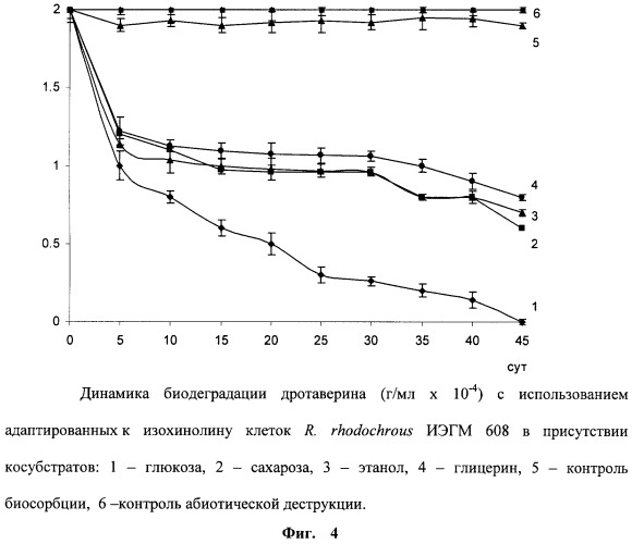 Способ биодеградации дротаверина гидрохлорида (патент 2496866)