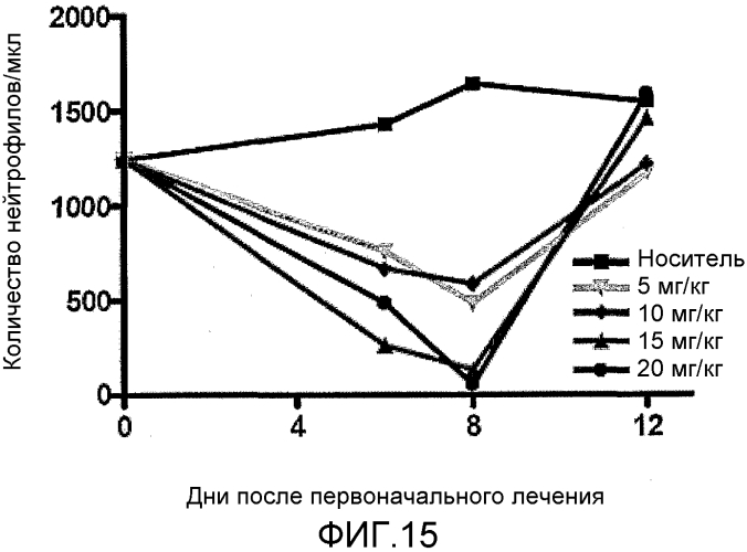 Способы применения (+)-1,4-дигидро-7-[(3s, 4s)-3-метокси-4-(метиламино)-1-пирролидинил]-4-оксо-1-(2-тиазолил)-1,8-нафтиридин-3-карбоновой кислоты для лечения рака (патент 2592231)