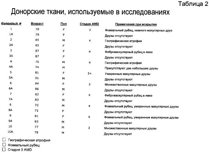 Профилактика и лечение патологических состояний глаз, вызванных комплементом (патент 2522976)