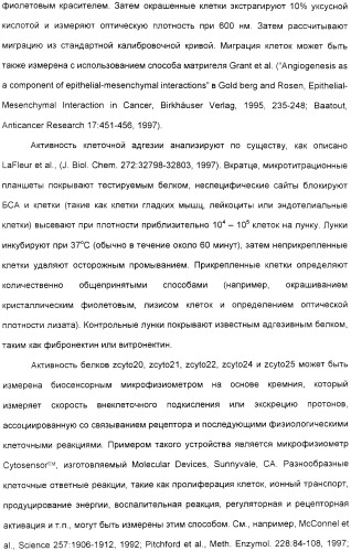 Выделенный полипептид, обладающий антивирусной активностью (варианты), кодирующий его полинуклеотид (варианты), экспрессирующий вектор, рекомбинантная клетка-хозяин, способ получения полипептида, антитело, специфичное к полипептиду, и фармацевтическая композиция, содержащая полипептид (патент 2321594)