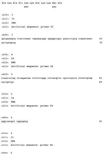 Способ получения l-аминокислот с использованием бактерии семейства enterobacteriaceae (патент 2364628)