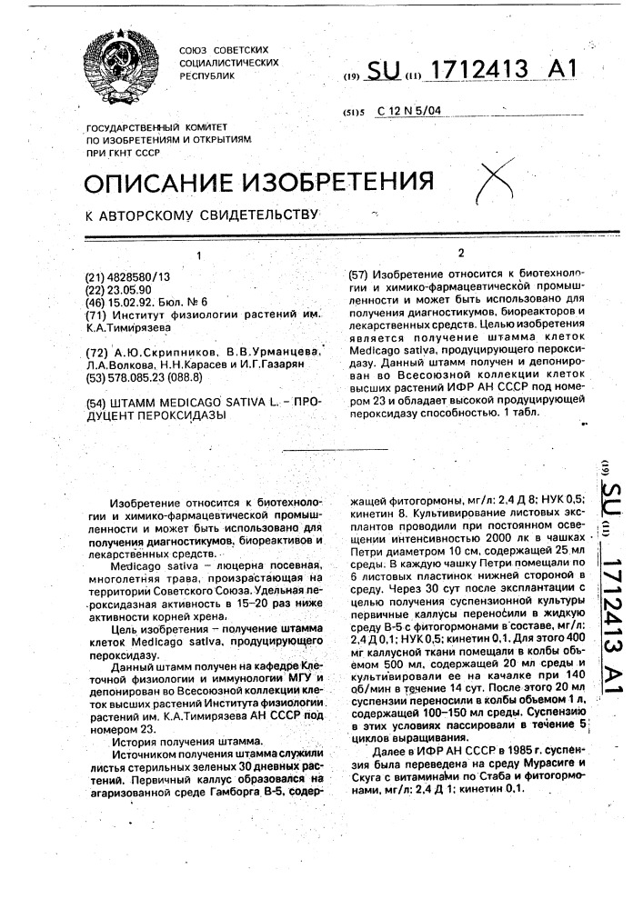 Штамм medicago sатivа l. - продуцент пероксидазы (патент 1712413)