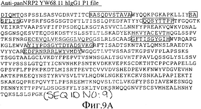 Антитело против pannrpa (варианты) (патент 2454427)