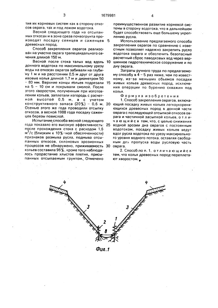 Способ закрепления оврагов (патент 1679981)
