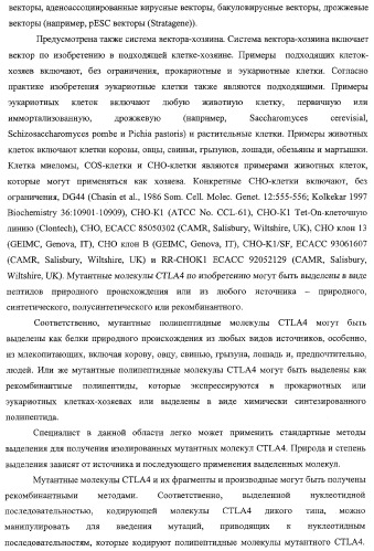 Способ лечения сердечно-сосудистого заболевания с применением растворимого ctla4 (патент 2353384)