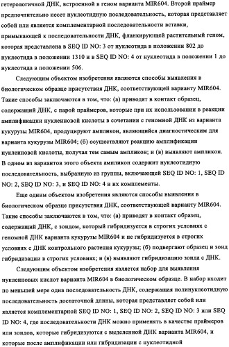 Вариант кукурузы mir604 (патент 2351122)