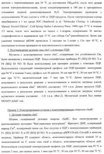 Способ получения l-треонина или l-аргинина с использованием бактерии, принадлежащей к роду escherichia, в которой инактивирован ген chac или оперон chabc (патент 2392327)