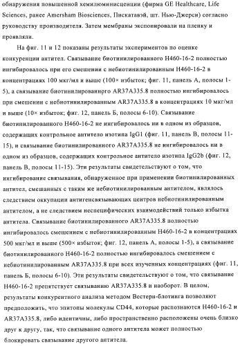 Химерные и гуманизированные антитела к cd44, которые опосредствуют цитотоксичность в отношении раковых клеток (патент 2487723)