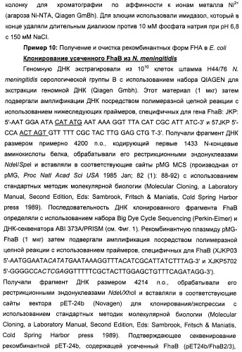 Нейссериальные вакцинные композиции, содержащие комбинацию антигенов (патент 2494758)