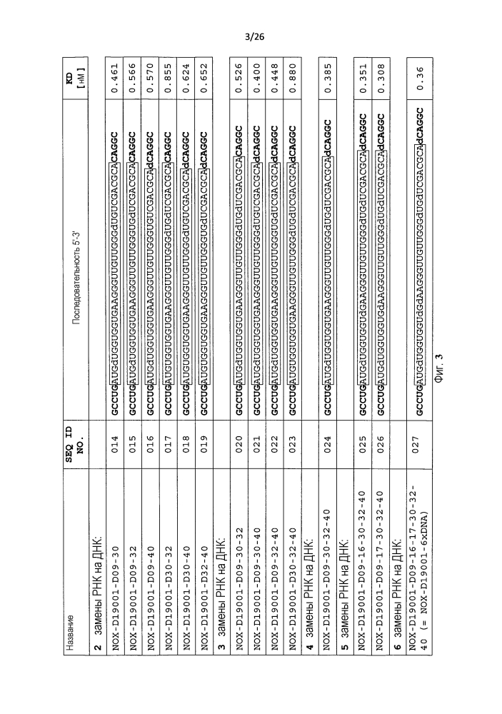 Новые связывающие c5a нуклеиновые кислоты (патент 2645261)