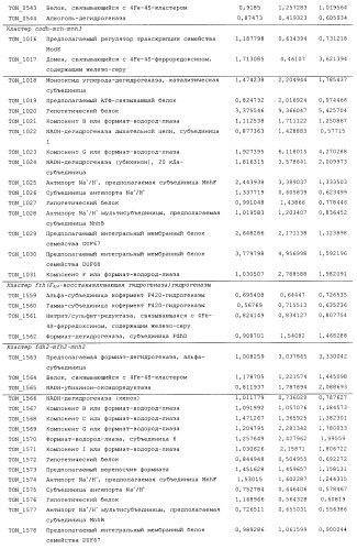 Новая гидрогеназа seq id no:5, очищенная из thermococcus onnurienus na1 с помощью моноokcида углерода, кодирующие ее гены, и способы получения водорода с использованием микроорганизма, имеющего указанные гены (патент 2460789)