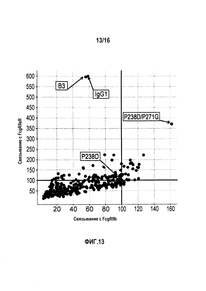 Fcγriib-специфичное fc-антитело (патент 2608504)