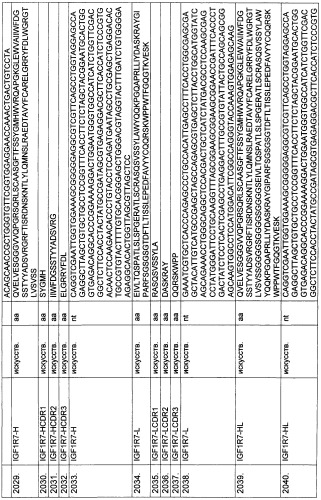 Pscaxcd3, cd19xcd3, c-metxcd3, эндосиалинxcd3, epcamxcd3, igf-1rxcd3 или fap-альфаxcd3 биспецифическое одноцепочечное антитело с межвидовой специфичностью (патент 2547600)