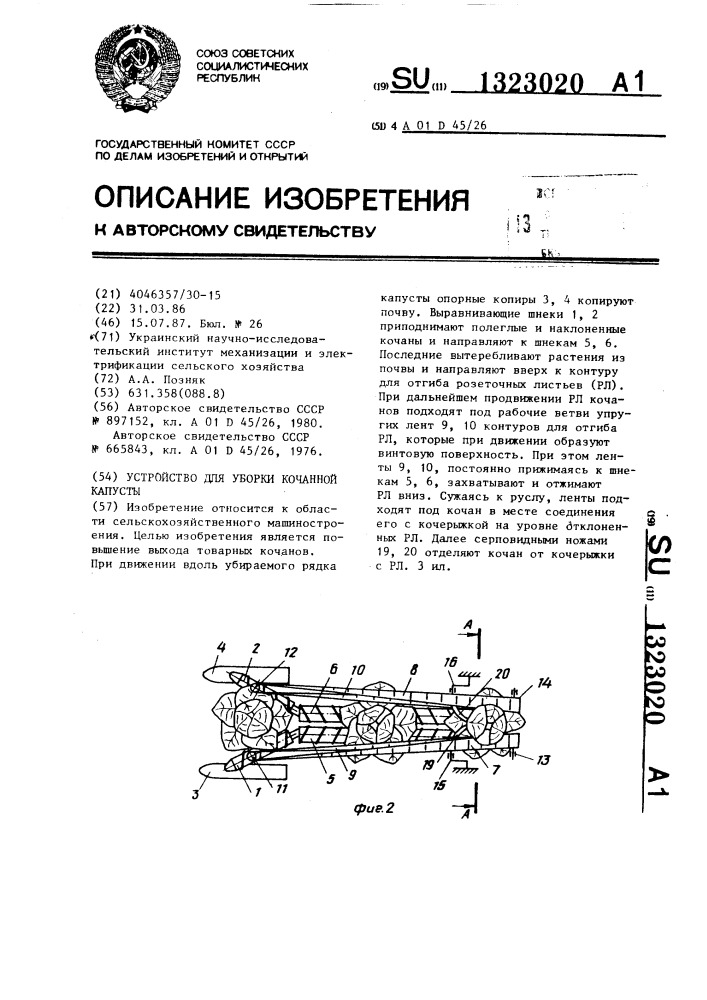 Устройство для уборки кочанной капусты (патент 1323020)