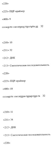 Модифицированное агонистическое антитело (патент 2295537)