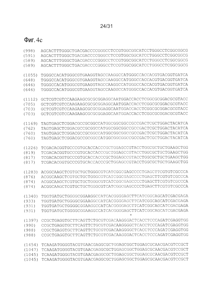 Ген и вариации, связанные с фенотипом bm1, молекулярные маркеры и их применение (патент 2617958)