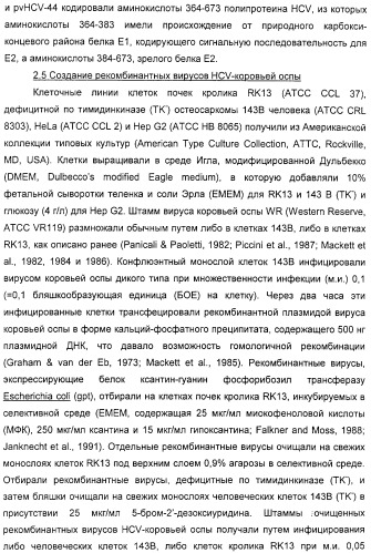 Очищенные белки оболочки вируса гепатита с для диагностического и терапевтического применения (патент 2313363)