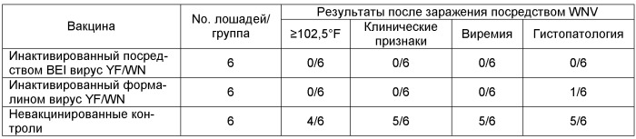 Инактивированные химерные вакцины и связанные с ними способы применения (патент 2436591)