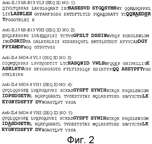 Антитела, связывающие il-4 и/или il-13, и их применение (патент 2488595)