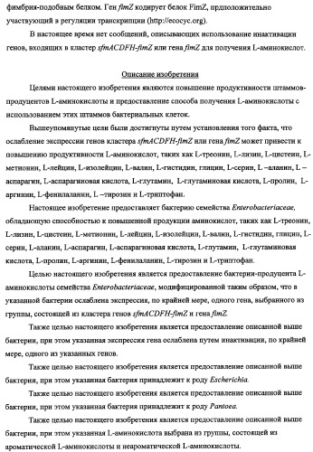 Способ получения l-треонина с использованием бактерии, принадлежащей к роду escherichia, в которой инактивирован кластер генов sfmacdfh-fimz или ген fimz (патент 2333953)