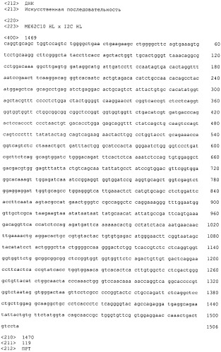 Pscaxcd3, cd19xcd3, c-metxcd3, эндосиалинxcd3, epcamxcd3, igf-1rxcd3 или fap-альфаxcd3 биспецифическое одноцепочечное антитело с межвидовой специфичностью (патент 2547600)