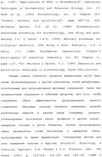 Гены corynebacterium glutamicum, кодирующие белки метаболических путей (патент 2306339)