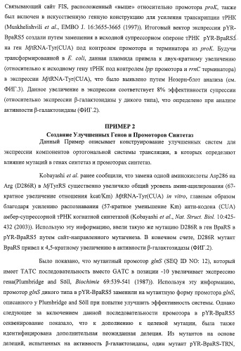 Система экспрессии компонентов ортогональной трансляции в эубактериальной клетке-хозяине (патент 2467069)