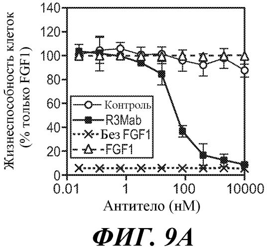 Антитела против fgfr3 и способы их применения (патент 2568066)