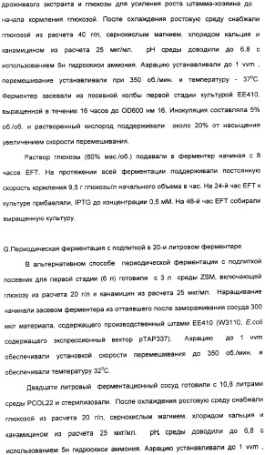 Продуцирование il-21 в прокариотических клетках-хозяевах (патент 2354703)