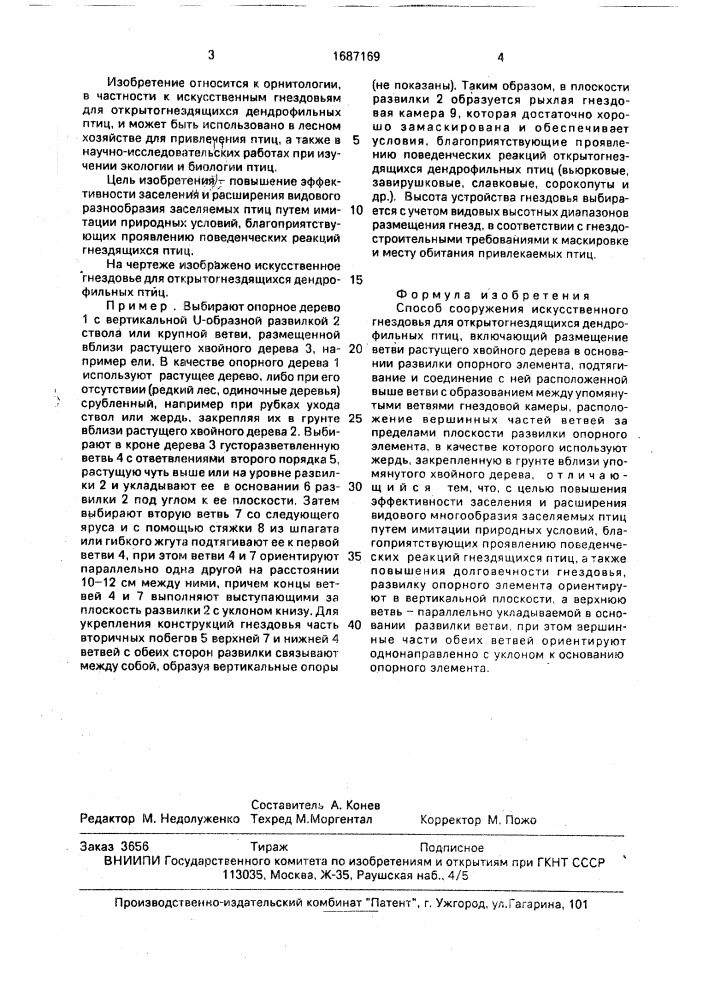 Способ сооружения искусственного гнездовья для открытогнездящихся дендрофильных птиц (патент 1687169)